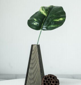 product 07